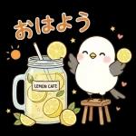 ことりと爽やかな夏