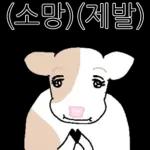 호기심 많은 소