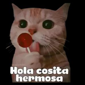Hola cosita hermosa - getsticker.com