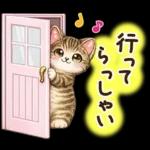 猫まみれのやさしい日常【春】