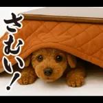 ウマの着ぐるみトイプードル【午年/2026】