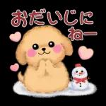 Animation only icon かわいいトイプードルの冬