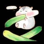 판다마우스 이벤트&기념일편