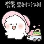 퐁실퐁실 퐁슈랑 벚꽃 보러 갈래?