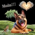 Moin!!!