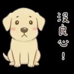 小拉拉 實用日常