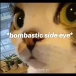 *bombastic side eye*