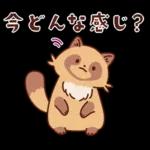 imananishiteru tanuki