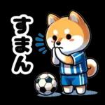 サッカー大好きな柴犬