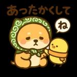 あったか柴犬の冬ごあいさつ