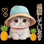 スコティッシュ猫 カラフル帽 夏 敬語
