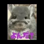 ふらんねるスタンプ【日常】