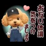 【秋冬】ずっと使える❤️日常会話 トイプー