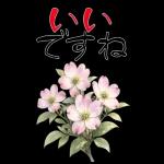 もふ屋画♪チップとデール