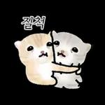 작아요 고먕이