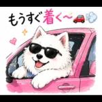 夏ギャルなサモエドスタンプ