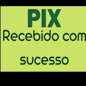 PIX Recebido com sucesso - getsticker.com