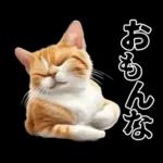 生成失敗猫【毒舌・煽り・煽る・シュール】