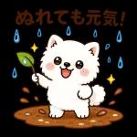 スタンプ・雨の日サモエド