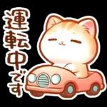 毎日♡猫ちゃんず【連絡・今何してる？】