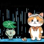 にゃんこたちの梅雨だより