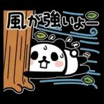 ぶなんなパンダ／お天気