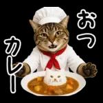 キジトラ猫飼いさんのダジャレ