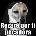 La Frii señal