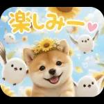 とびだす★夏 柴犬★わんこ♡犬