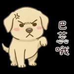 小拉拉 實用日常