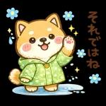 スタンプ・しば犬の梅雨だより