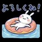 毎日使える夏☆ほぼ白うさぎ