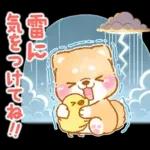 雨、梅雨、夏に使う❤️いやしばいぬ❤️柴犬