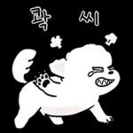또리는 소심하지만 참지않지
