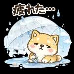 スタンプ・しば犬の梅雨だより