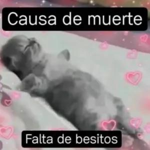 Causa de muerte Falta de besitos - getsticker.com