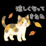 猫がいっぱい♡ふんわり可愛い秋＆冬