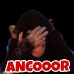 ANCOOR