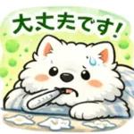 超かわいいサモエド犬の日常 普段使いに！