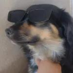 en el nombre de yesus