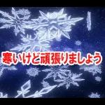 夢のクリスマス☆年末年始