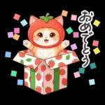 毎日使える 茶トラねこ 春 日常 いちご帽子