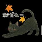 猫がいっぱい♡ふんわり可愛い秋＆冬