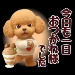 【秋冬】ずっと使える❤️日常会話 トイプー