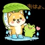 スタンプ・しば犬の梅雨だより