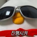 뭐 되는 베베와 멜롱이 짤.zip2