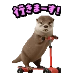 飛び出す！カワウソ