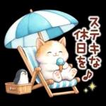 猫のつめあわせ【夏】