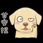 小拉拉 實用日常