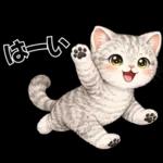 うり坊のもふもふ日常スタンプ